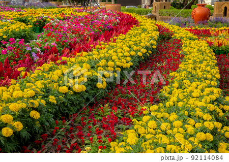 Yard - Grounds, Landscaped, Flower, Ornamental Garden, Beauty Yard - Grounds, Landscaped, Flower, Ornamental Garden, Beauty 92114084