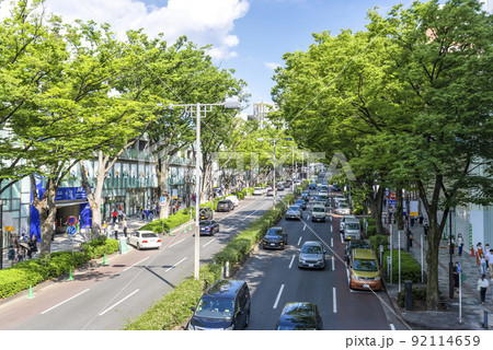 東京渋谷の都市風景 表参道 東京渋谷の都市風景 表参道 92114659