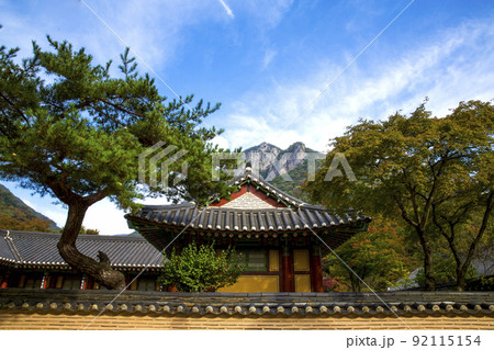 自然 風景 景色 92115154