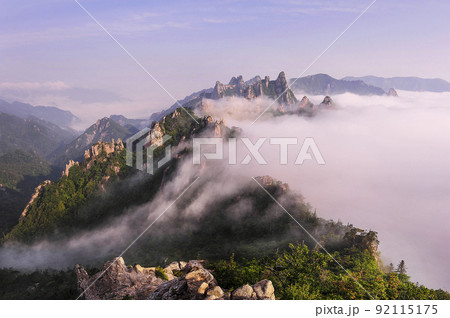自然 風景 景色 92115175