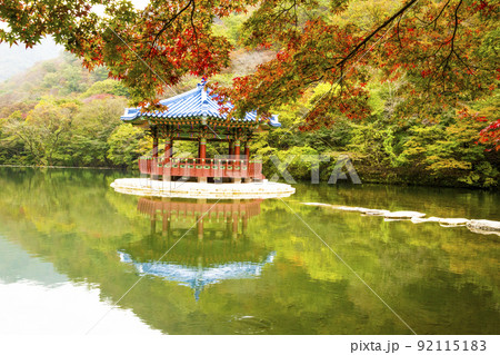 自然 風景 景色 92115183