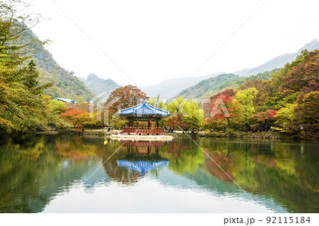 自然 風景 景色 92115184