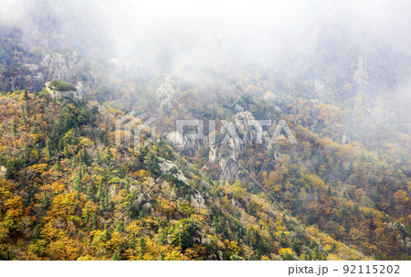 自然 風景 景色 92115202