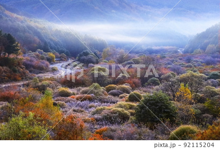 自然 風景 景色 92115204