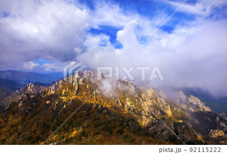 自然 風景 景色 92115222