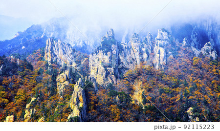 自然 風景 景色 92115223