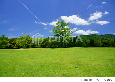 梅雨明けの日・爽やかな奈良公園・飛火野 梅雨明けの日・爽やかな奈良公園・飛火野 92115305