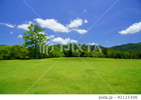 梅雨明けの日・爽やかな奈良公園・飛火野 92115306
