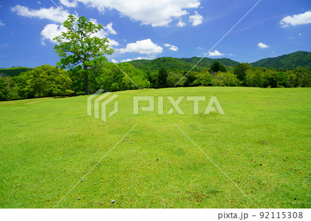 梅雨明けの日・爽やかな奈良公園・飛火野 92115308