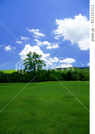 梅雨明けの日・爽やかな奈良公園・飛火野にかかる雲の影 92115311
