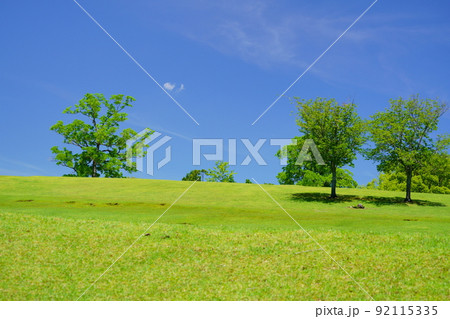 奈良公園・緑の丘・飛火野・梅雨明けの日 92115335