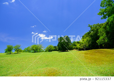 奈良公園・緑の丘・飛火野・梅雨明けの日 92115337