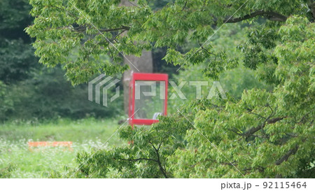 江華島 伝燈寺 寺院 92115464