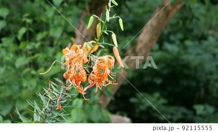 江華島 伝燈寺 寺院 92115555
