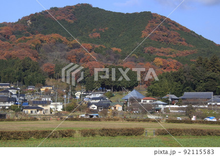 晩秋の巾着田と日和田山(2020年) 晩秋の巾着田と日和田山(2020年) 92115583