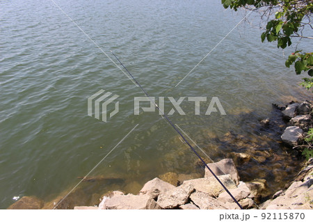 青野ダム 千丈寺湖 湖畔の景観 青野ダム 千丈寺湖 湖畔の景観 92115870