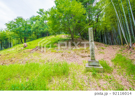 京都府向日市 竹の径 寺戸大塚古墳 京都府向日市 竹の径 寺戸大塚古墳 92116014