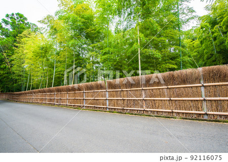 京都府向日市 竹の径 竹垣と竹林 京都府向日市 竹の径 竹垣と竹林 92116075