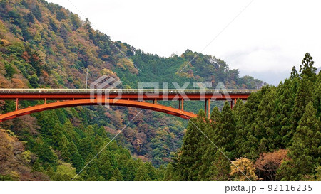 大井川鐵道井川線から見える紅葉と陸橋 92116235
