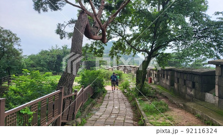 北岳山 登山 山道 92116324
