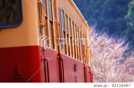 ローカル線に乗って桜咲く春の沿線を旅して ローカル線に乗って桜咲く春の沿線を旅して 92116467