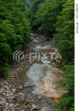 川底まで透き通る清流 初夏の山の中を流れる白砂川 群馬県 川底まで透き通る清流 初夏の山の中を流れる白砂川 群馬県 92116649
