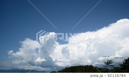 松林と山と入道雲 松林と山と入道雲 92116784