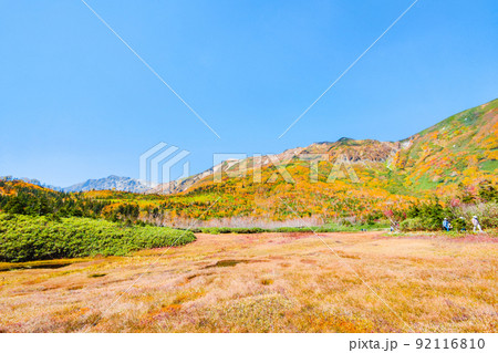 栂池自然園(秋) 栂池自然園(秋) 92116810