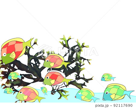 群れる海底の魚たち 92117690