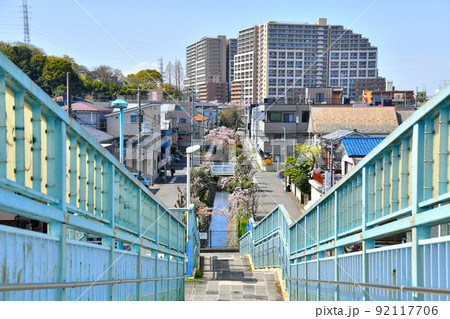 久地円筒分水方面を望む(神奈川県川崎市)【2022.4】 久地円筒分水方面を望む(神奈川県川崎市)【2022.4】 92117706