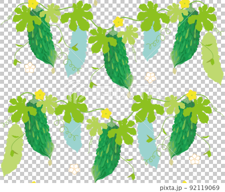 Seamless pattern bitter gourd 92119069
