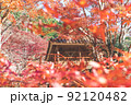 紅葉した紅葉から眺める日本建築 92120482