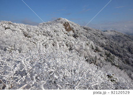 大小山の雪景色 大小山南側小ピークから山頂方面を見る 大小山の雪景色 大小山南側小ピークから山頂方面を見る 92120529