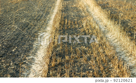 Fields fire burnt barley after blaze wild drought dry flame black earth ground catastrophic pity damage Hordeum vulgare vegetation cereals stand green natural disaster down, drone aerial Fields fire burnt barley after blaze wild drought dry flame black earth ground catastrophic pity damage Hordeum vulgare vegetation cereals stand green natural disaster down, drone aerial 92120621