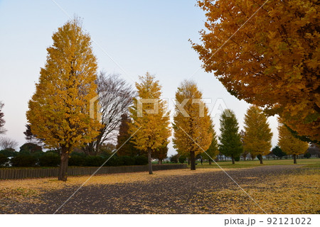 長砂公園へ行きました　＃5 92121022