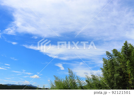 青空　雲　竹林　山地 92121501