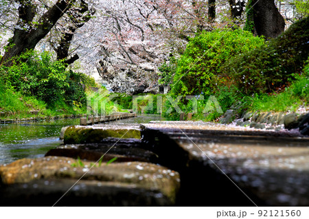 二ヶ領用水(宿河原周辺)(神奈川県川崎市)【2022.4】 92121560