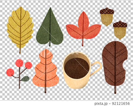 かわいい秋の落ち葉や紅葉、どんぐり、木の実たちの素材イラスト 92121656