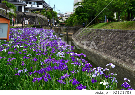 高瀬裏川花しょうぶまつり 歴史ある石橋、石垣と花しょうぶの風情ある風景 高瀬裏川花しょうぶまつり 歴史ある石橋、石垣と花しょうぶの風情ある風景 92121703