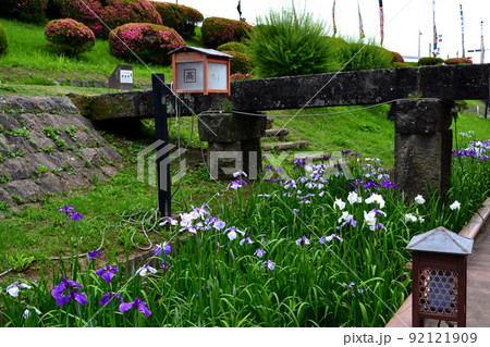 高瀬裏川花しょうぶまつり　歴史ある石橋、石垣と花しょうぶの風情ある風景 92121909
