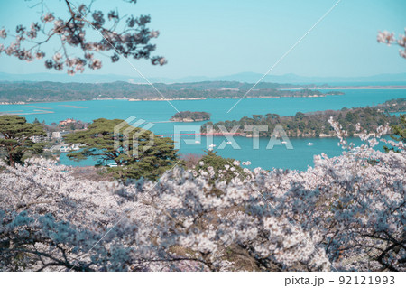 日本三景・松島　西行戻しの松公園から望む桜と青空の松島湾（宮城県松島町） 92121993