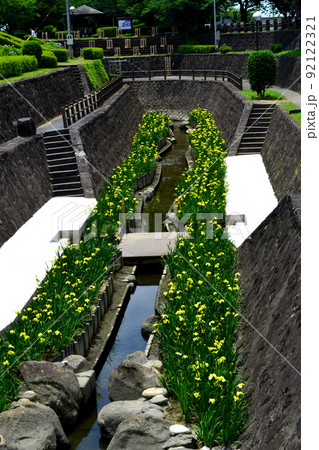 高瀬裏川花しょうぶまつり　歴史ある石橋、石垣と花しょうぶの風情ある風景 92122321