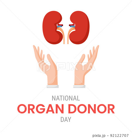 National organ donor day with Kidneys 92122707