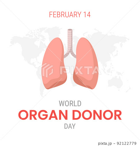 National organ donor day with Lungs 92122779