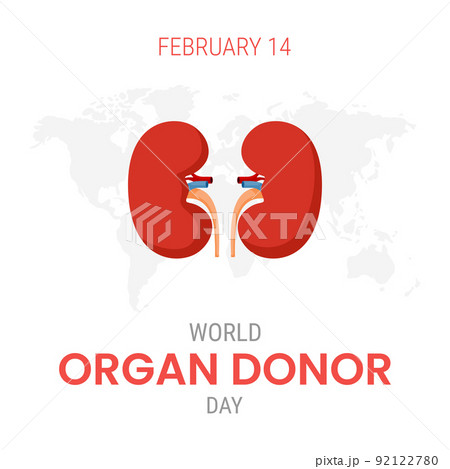 National organ donor day with Kidneys 92122780