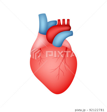 Human Heart isolated on white background 92122781