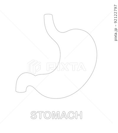 Stomach tracing worksheet for kids Stomach tracing worksheet for kids 92122797