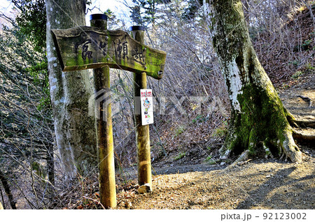 丹沢の仏果山　宮ヶ瀬越の分岐地点 92123002