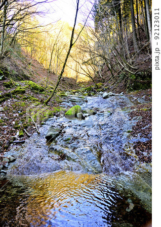丹沢の畦ヶ丸　ステタロー沢の渓流 92123011
