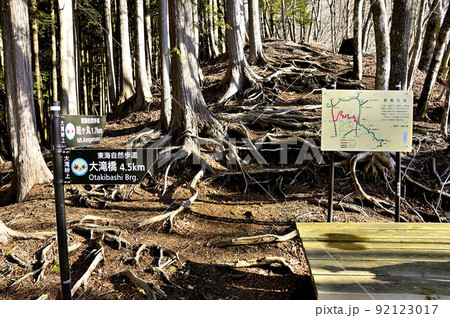 丹沢の道 畦ヶ丸の大滝峠上 丹沢の道 畦ヶ丸の大滝峠上 92123017